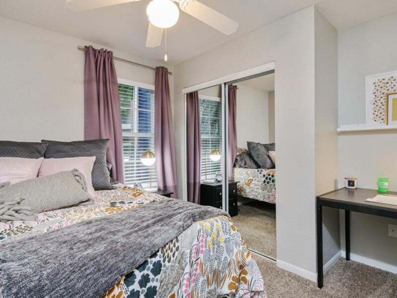 Spacious Bedroom | ACASĂ Bainbridge Apartments in Tallahassee, FL