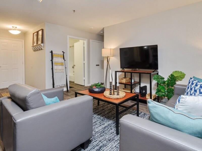 Living Room | ACASĂ Bainbridge Apartments in Tallahassee, FL