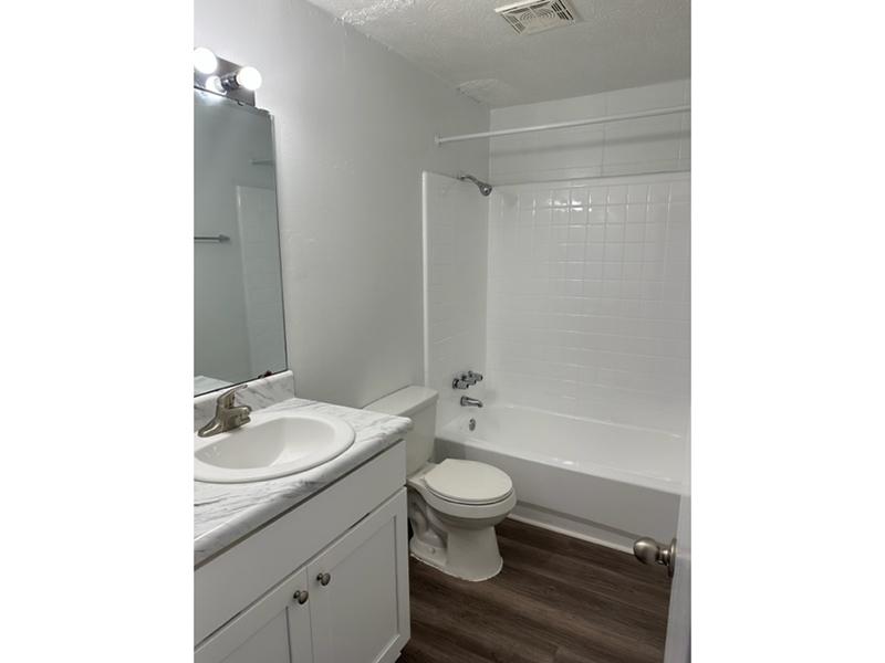 Bathroom | The Villager Apartments in Jacksonville. FL