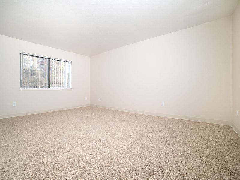 Carpeted Room | Parkview Terrace Apartments in Lakewood, CO