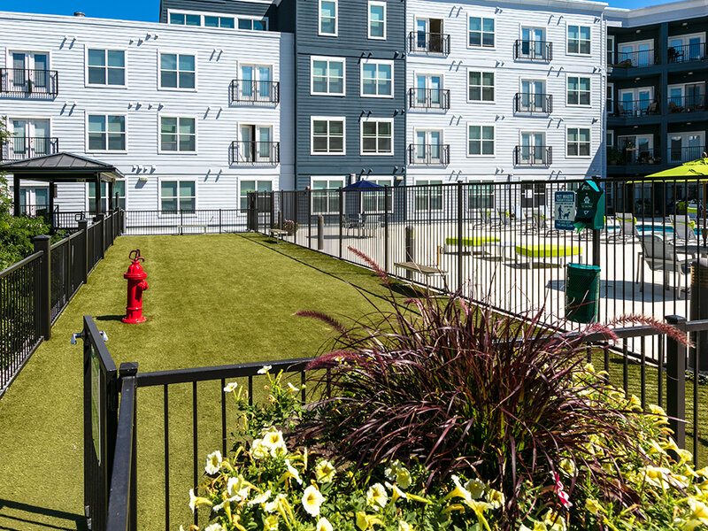 Pet Park | Lincoln Place