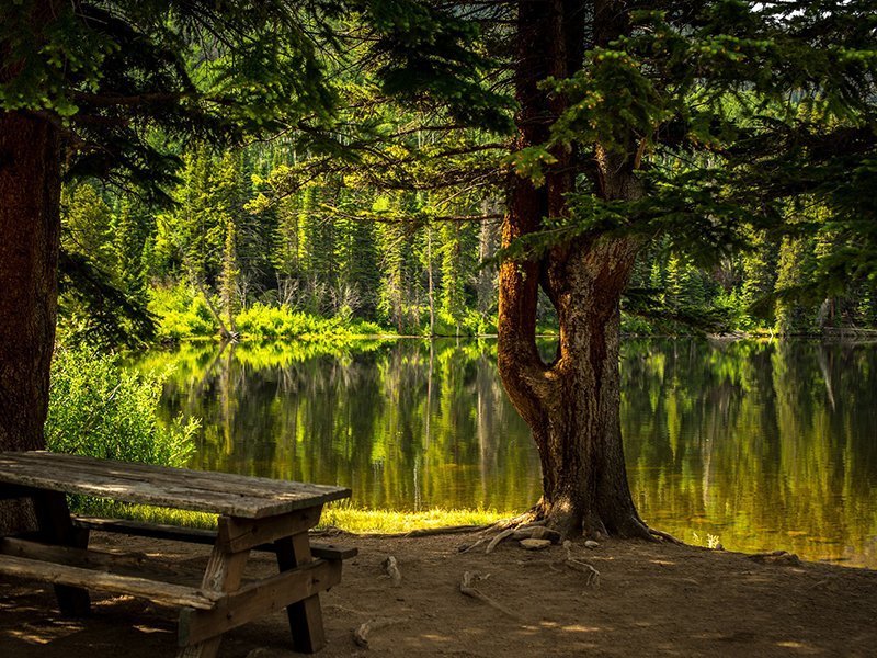 Bear Creek Park
