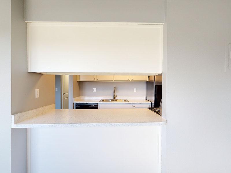 Kitchen Counter| Lakeview Heights