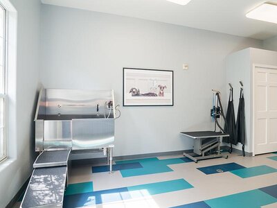 Dog Wash | Regatta Apartments