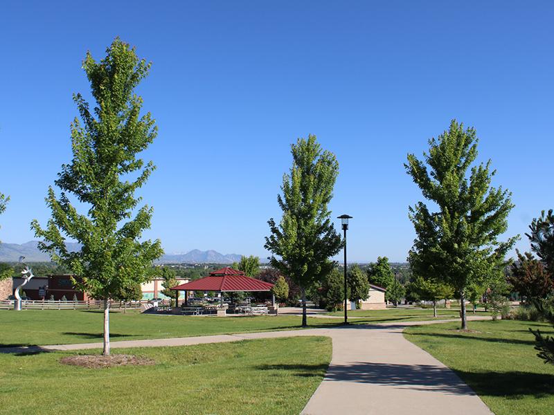 Discover Park | Tabor Lakes Apartments in Wheat Ridge, CO