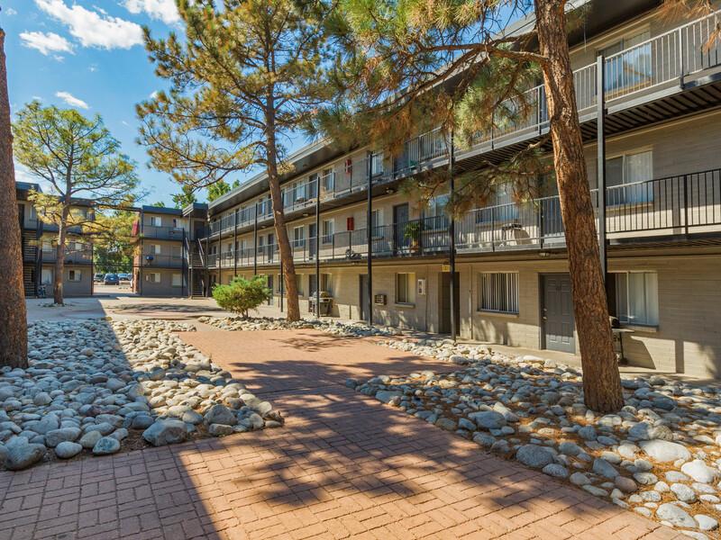 Courtyard with Grills | Shadow Tree Apartments