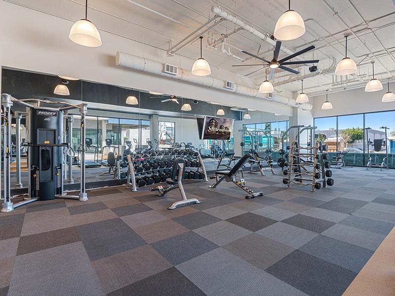 Apartments with a Gym | Airo at South Bay