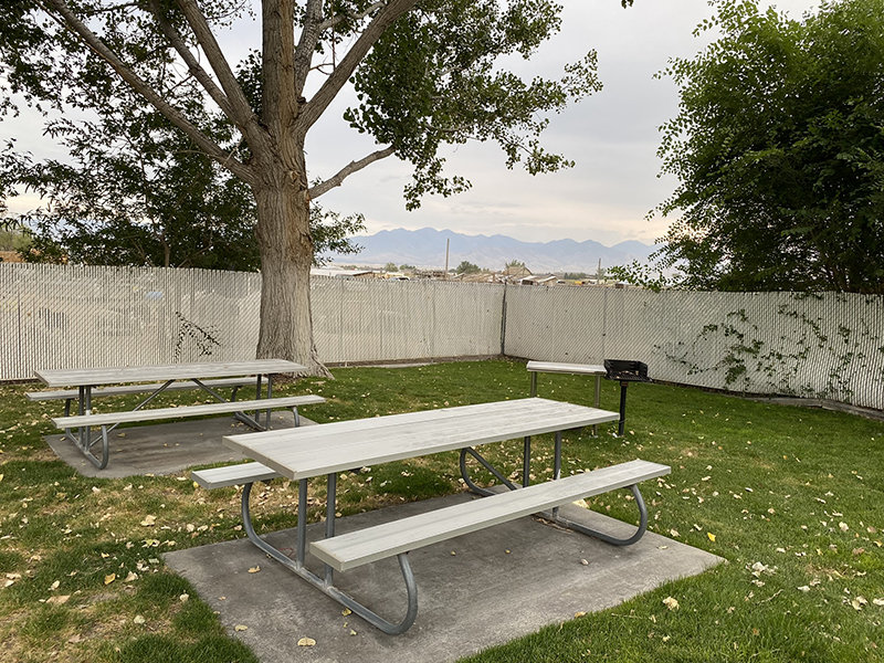 Picnic Area | The Willows