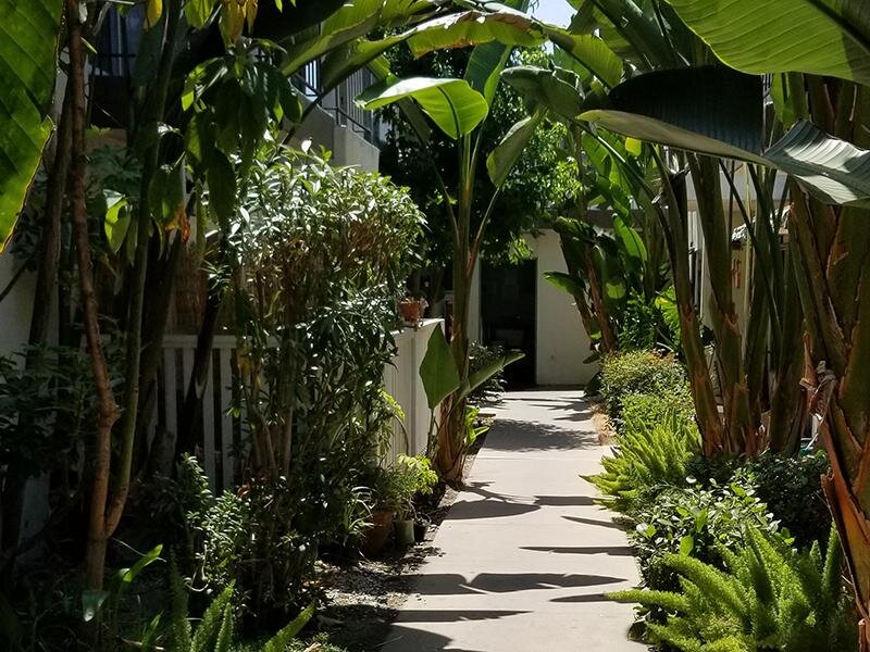 City Walk Apartments in North Hollywood