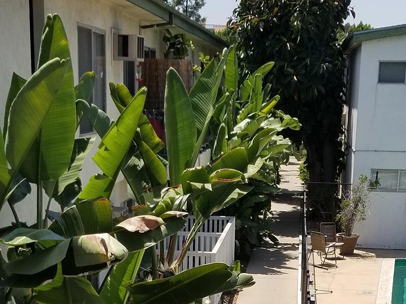 Walking Path | City Walk