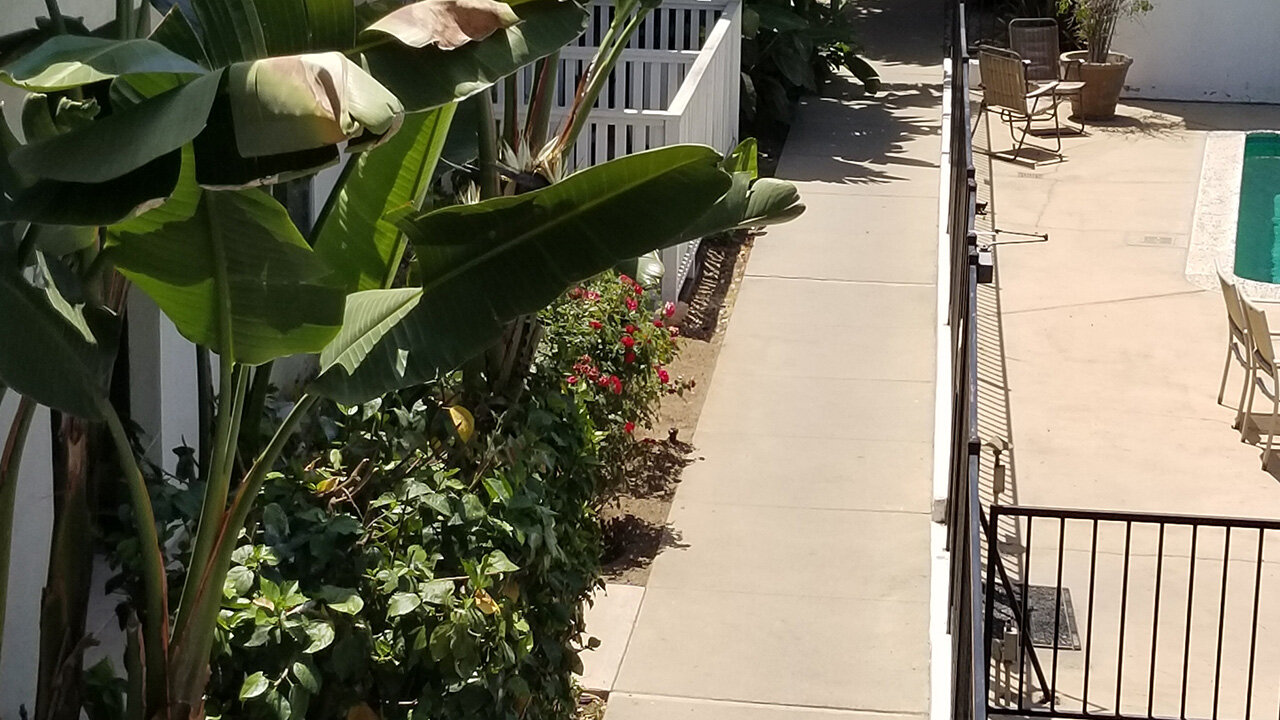 City Walk Apartments Neighborhood