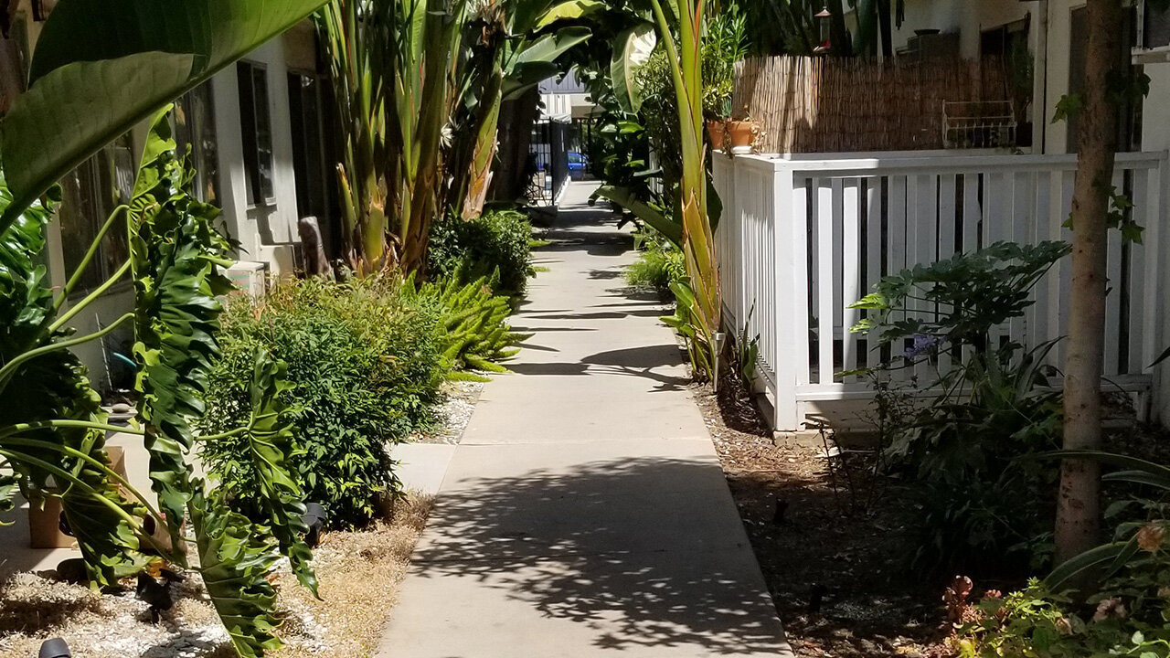 City Walk Apartments, a great place to live