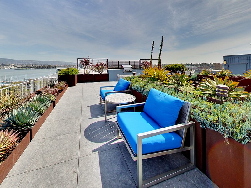 Outdoor Lounge | Panomar Apartments in Alameda, CA