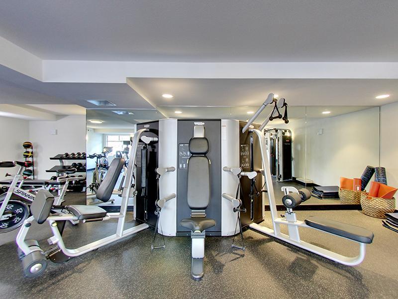 Workout Machines | Panomar Apartments in Alameda, CA
