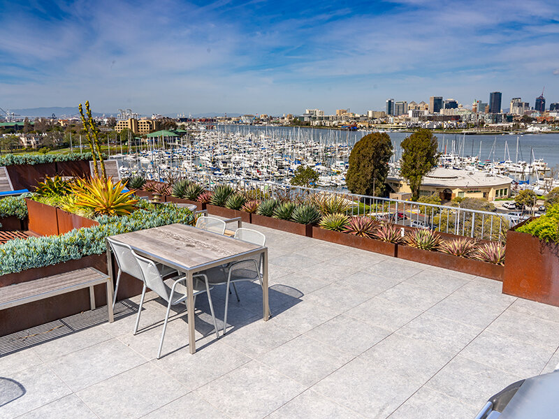 Rooftop Access | Panomar Apartments in Alameda, CA