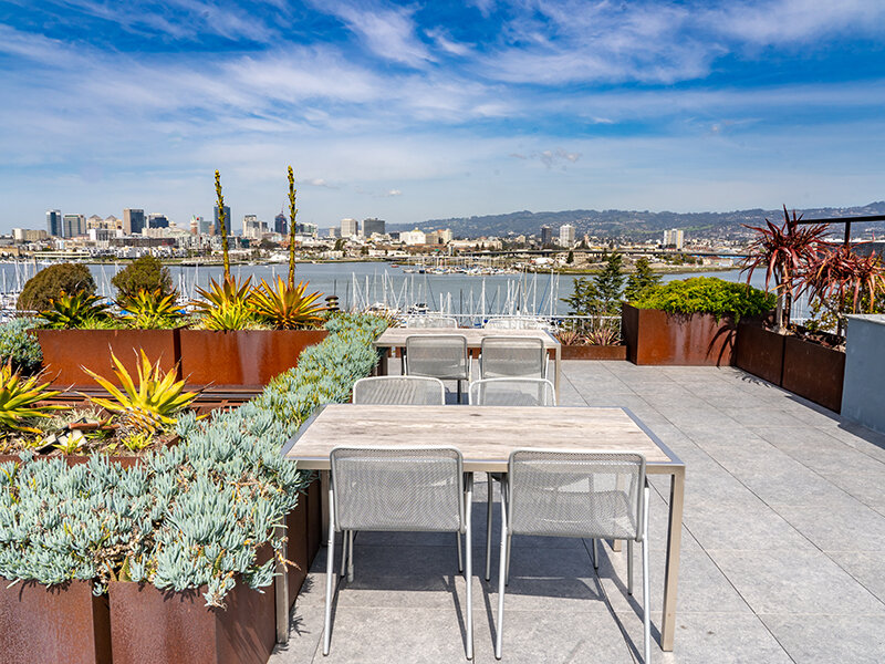Rooftop Terrace | Panomar Apartments in Alameda, CA