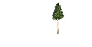 McInnis Park Logo - Special Banner
