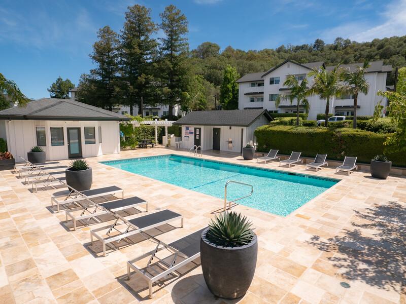 One BR Apartments in San Rafael CA - McInnis Park - Sparkling Pool Surrounded By Lounge Chairs, Bathrooms, and Lush Landscaping.
