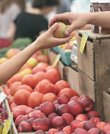 Marin County Farmers' Market--San Rafael