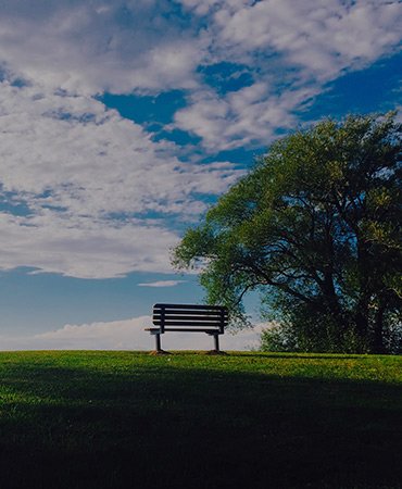 Get some fresh air at North Highlands Park.
