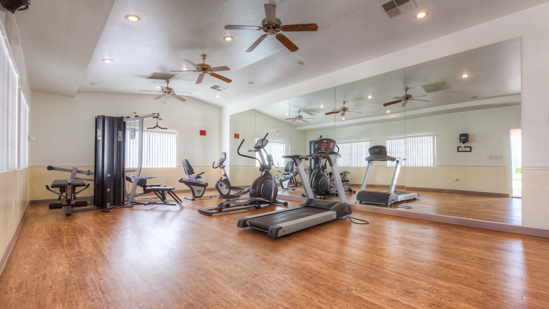 Serena Vista Apartments Amenities