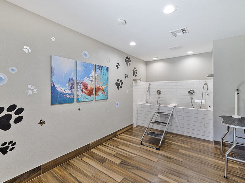Pet Spa | Village Oaks CA