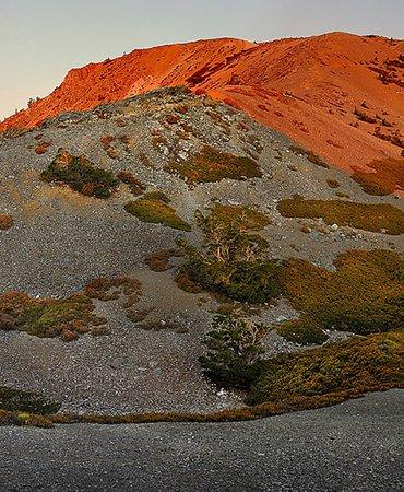 Mount Baldy 