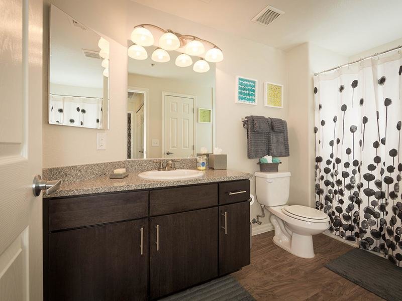 Bathroom | Cornerstone Park Apartments in Henderson NV 