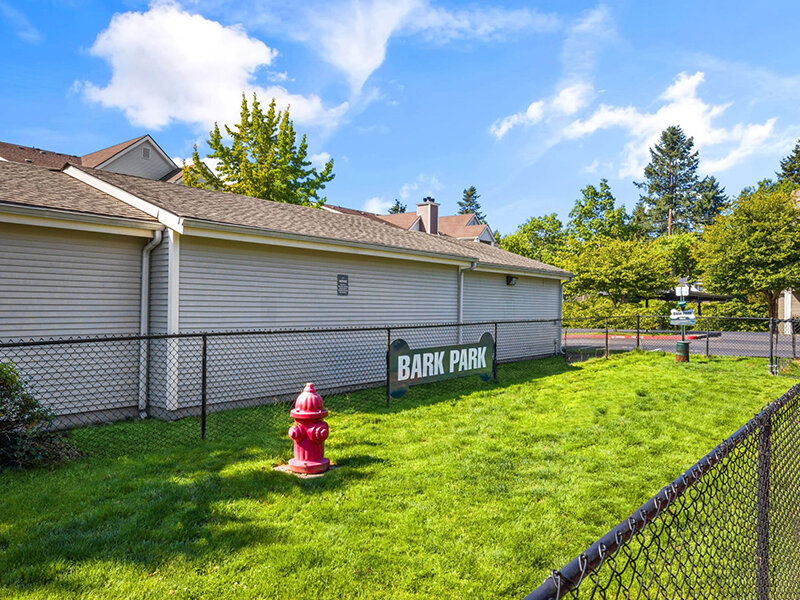 Dog Park | Wildreed Apartments