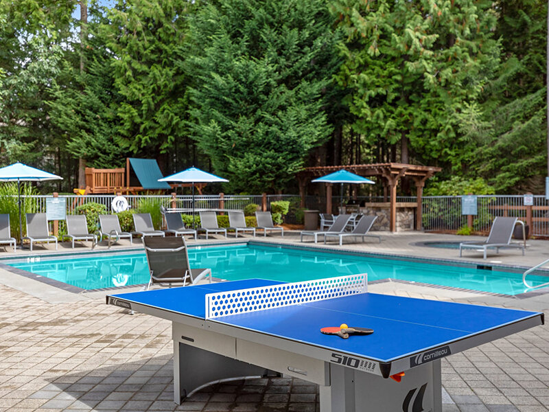 Pool | Wildreed Apartments