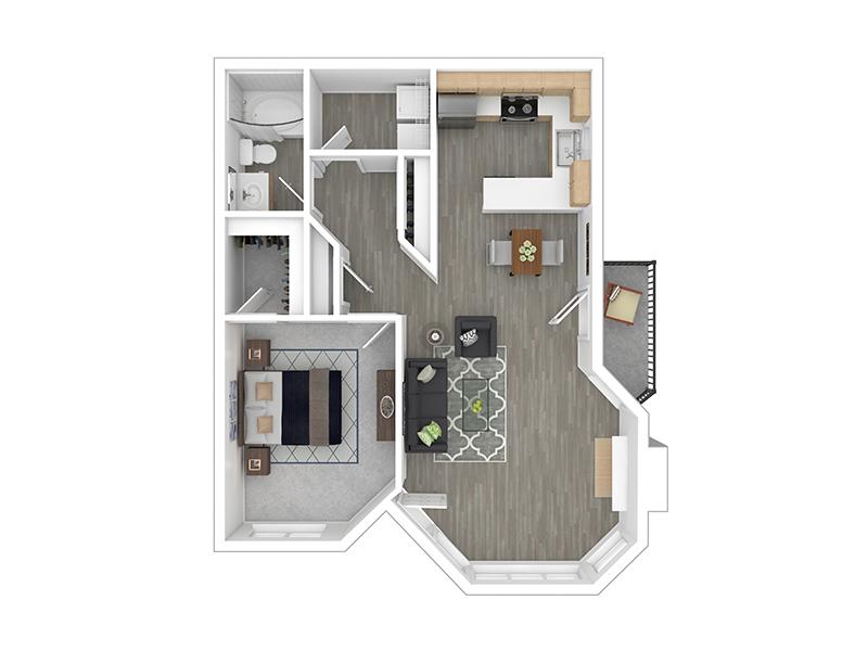 Birch Floorplan at Veri 1319