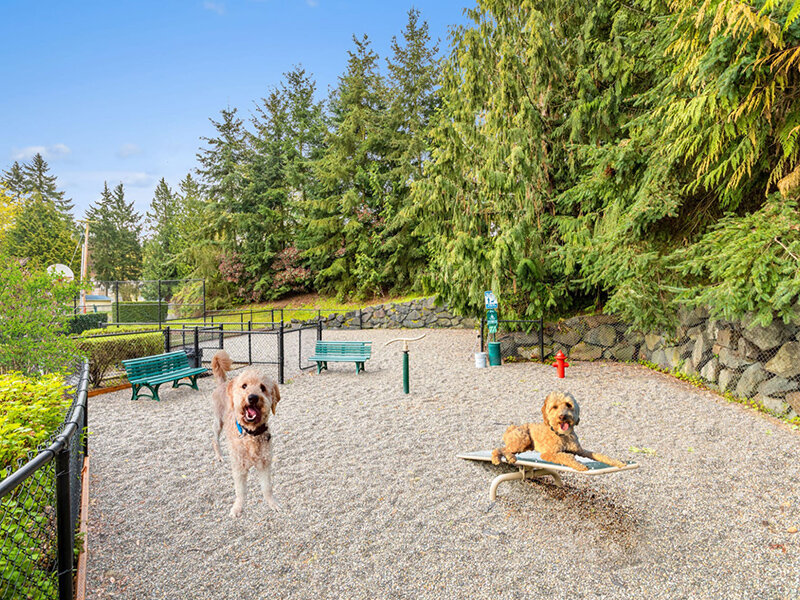 Pet Friendly | Brookside Village