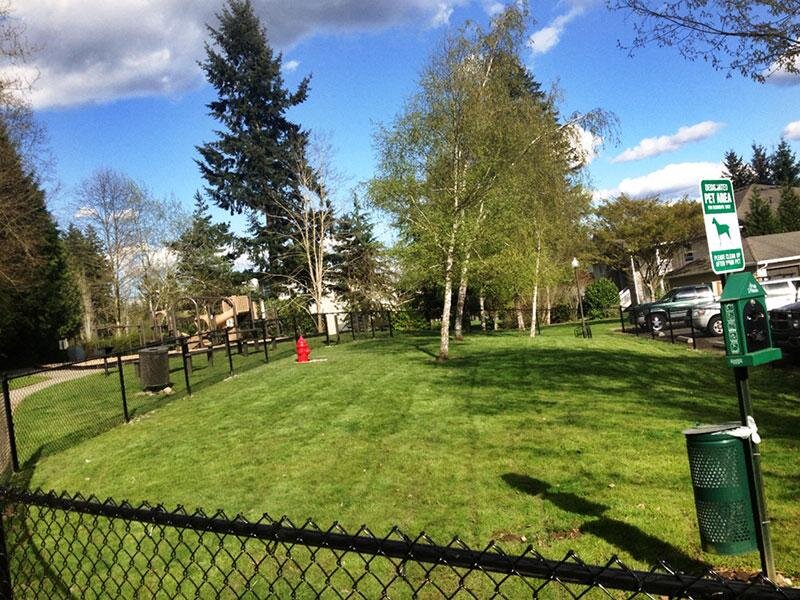 The Knolls at Inglewood Hill Dog Park