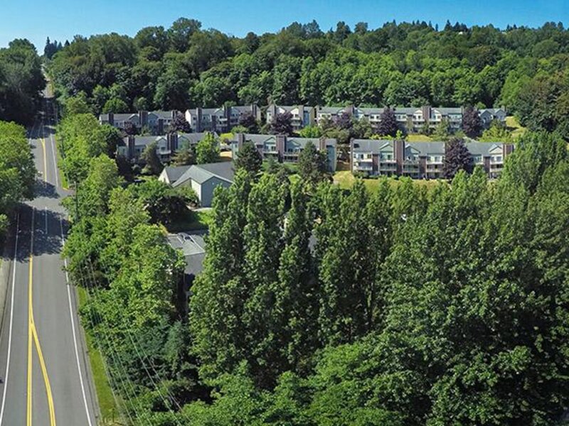 Park South in Seattle, WA