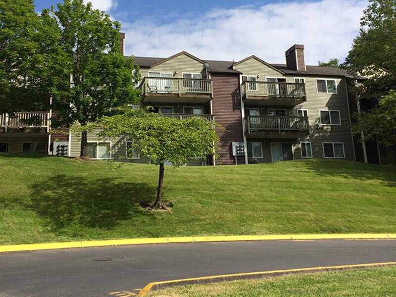 Park South Apts in Seattle, WA