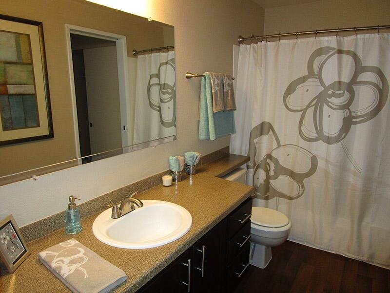 Renovated Bathroom Brown Cabinets