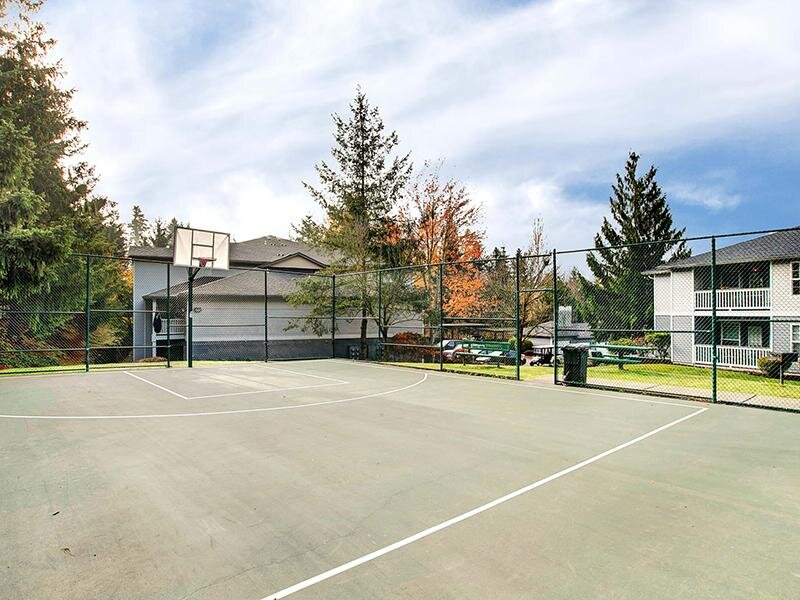 Sports Court | Pebble Cove Apartments