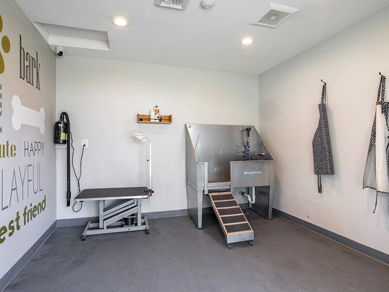 Pet Wash Station | Pebble Cove Apartment Photos in Renton, WA
