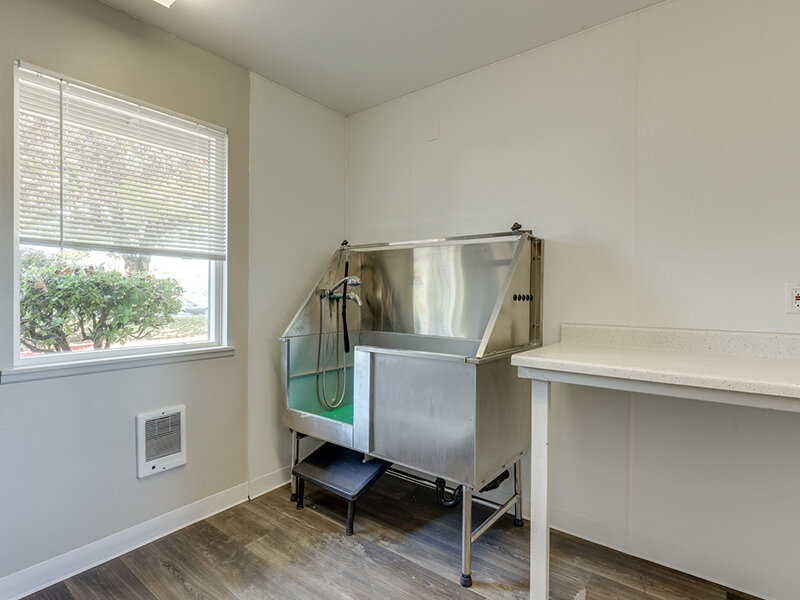 Dog Wash Station | Veri Vancouver