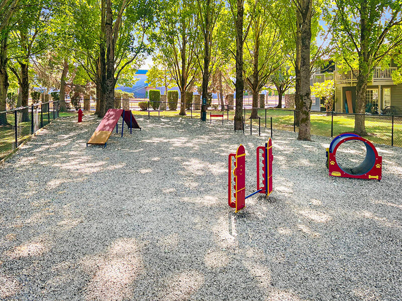 Dog Park | Waters Edge