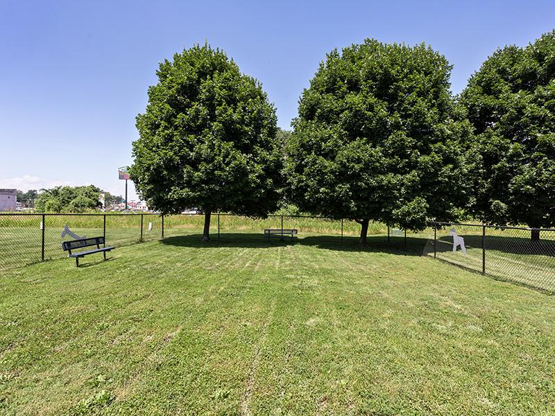 Dog Area | Kimber Green Apartments in Evansville, IN