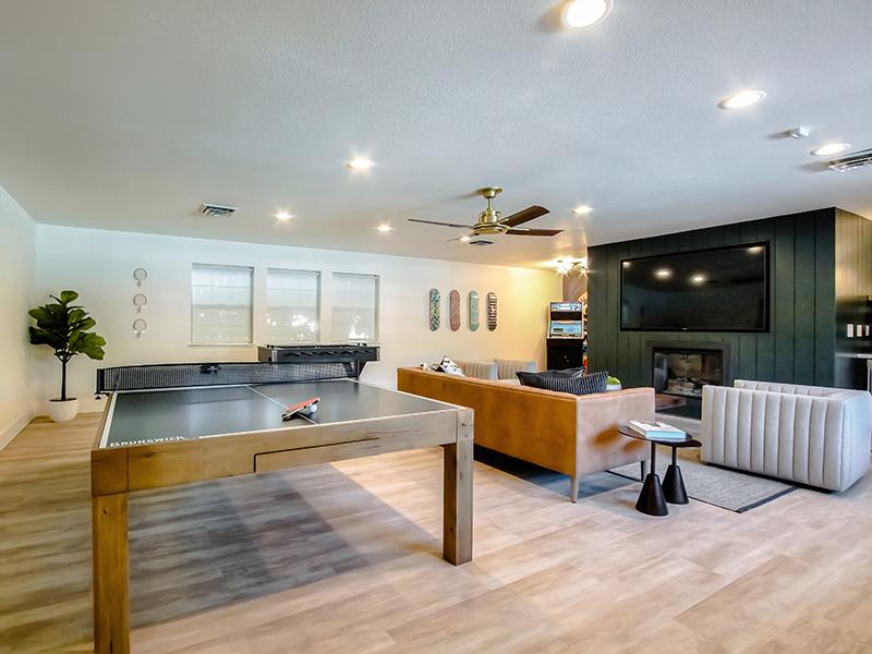 Ping Pong Table | Creekside Village