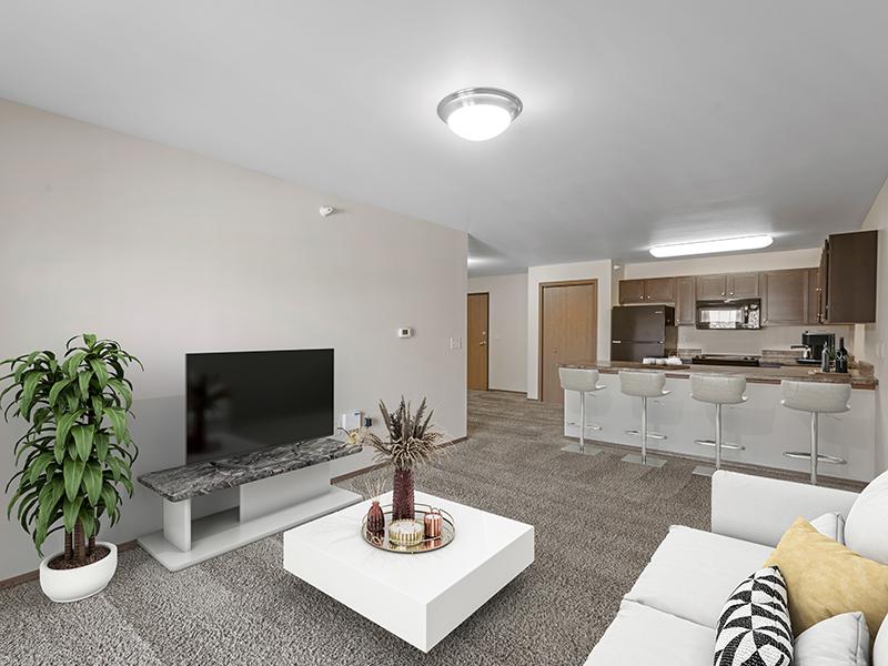 Model Living Room | Dakota Pointe Apartments