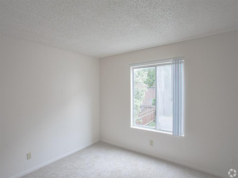 Two-Bedroom Apartments In Berkeley, CA - Spacious Bedroom With Large Window, Plush Carpeting, And White Walls