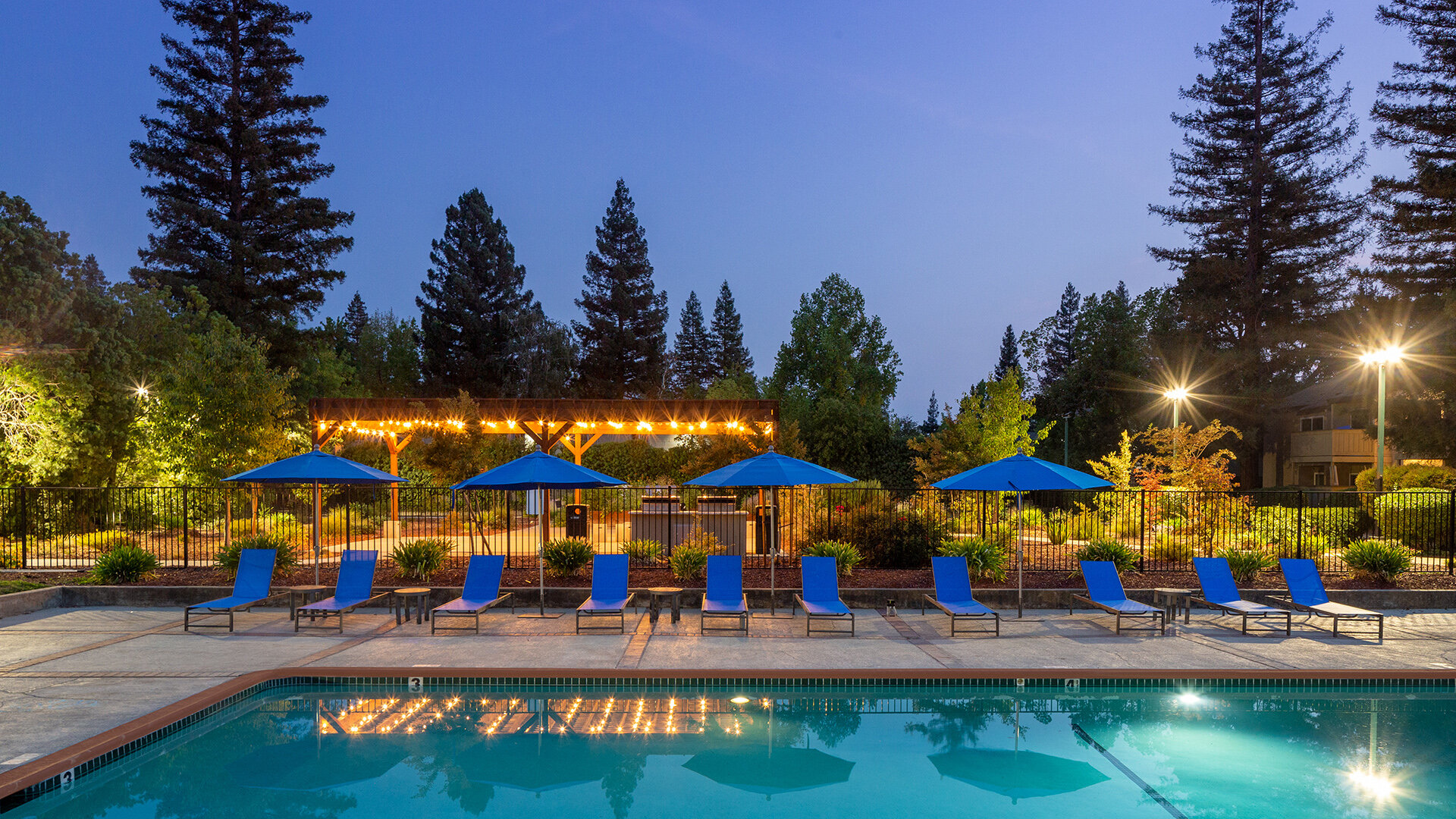 Juniper Apartments Amenities