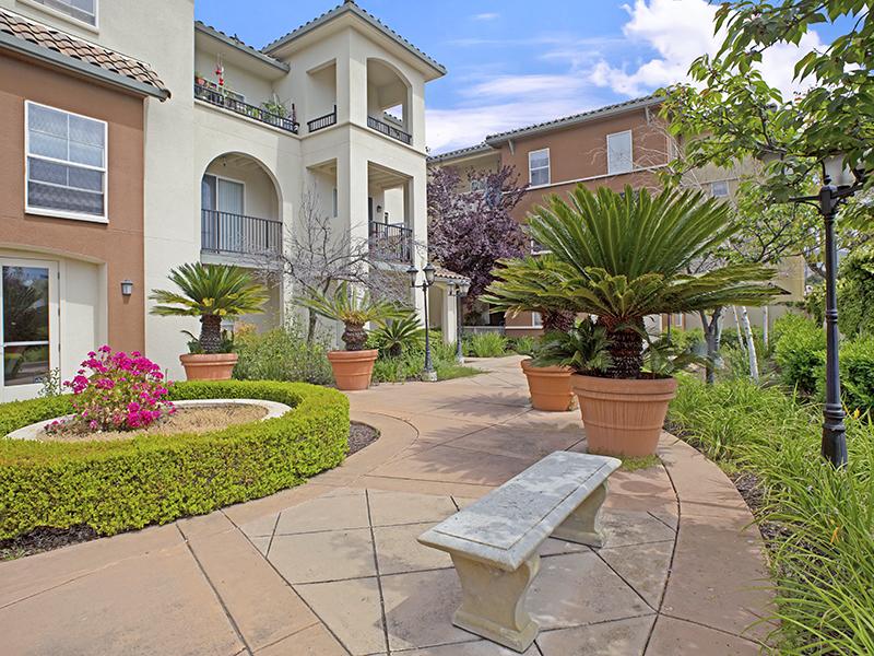 Beautifully Landscaped Grounds | Monte Vista Senior Apartments