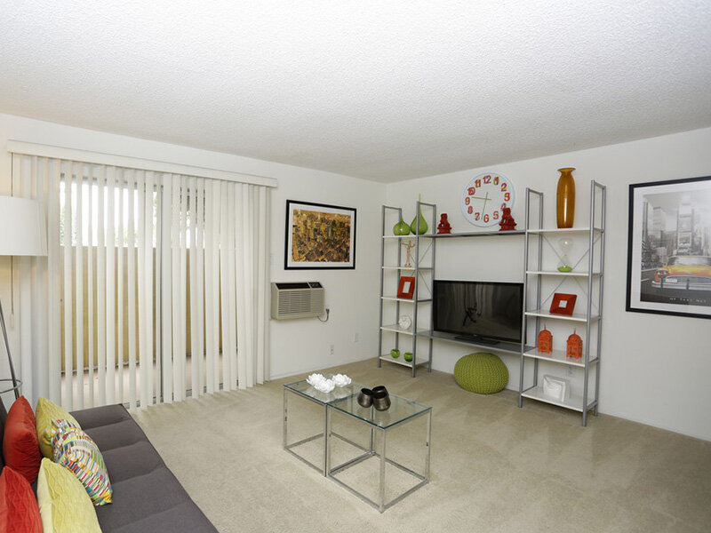 Studio Apartment | Tribeca Apartments