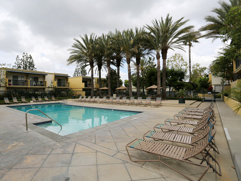 Swimming Pool | Tribeca Apartments