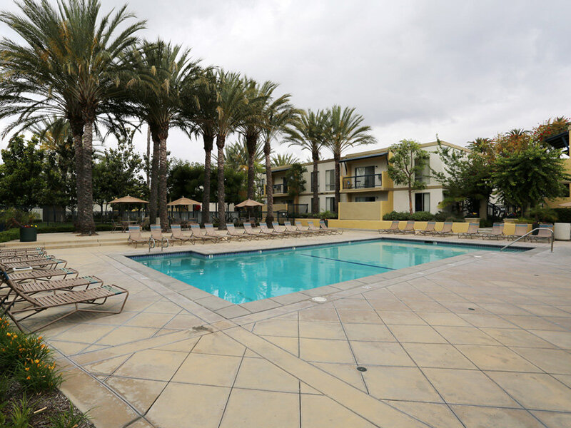 Pool | Tribeca Apartments