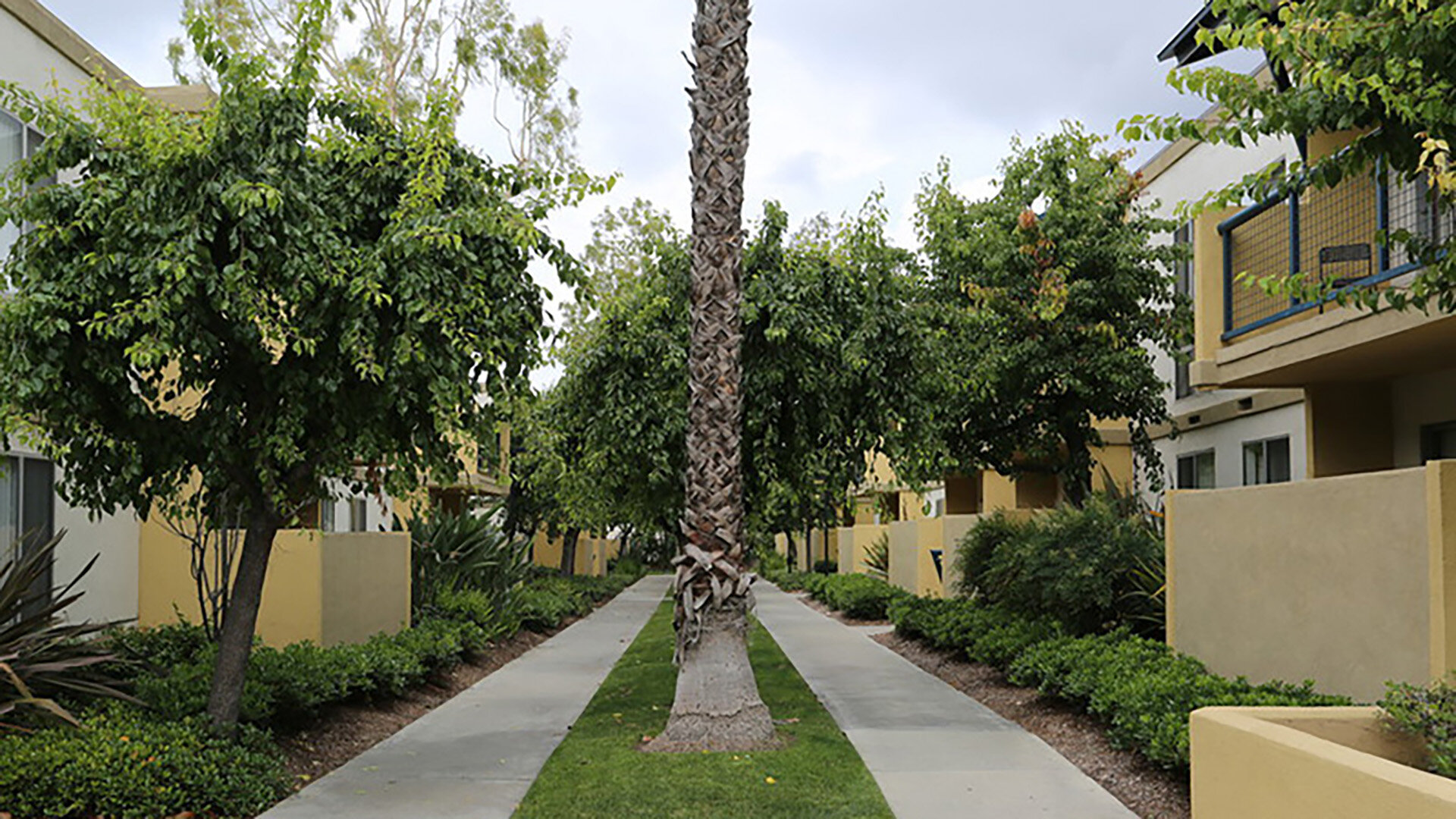 Tribeca Apartments Amenities